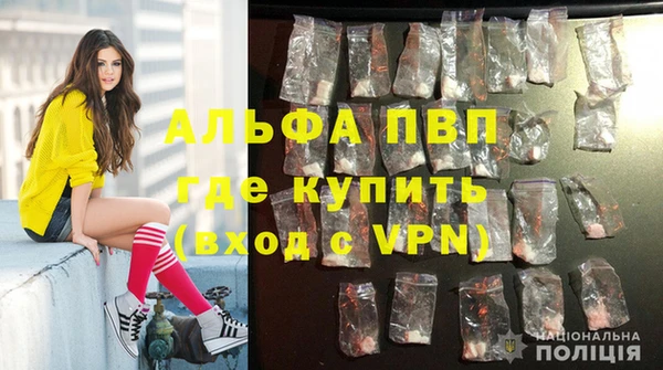 стафф Белокуриха